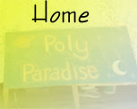 PolyParadise