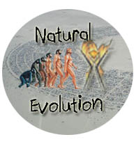 Button - 2009 - Evolution